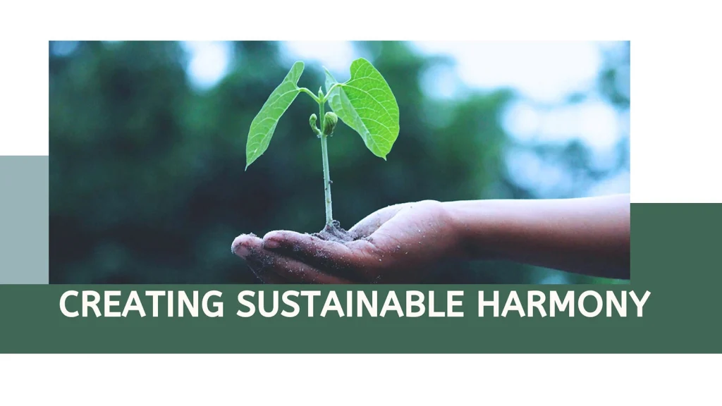 hand holding a seedling