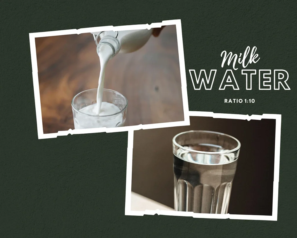 a picture showing a glass of milk and a glass of water