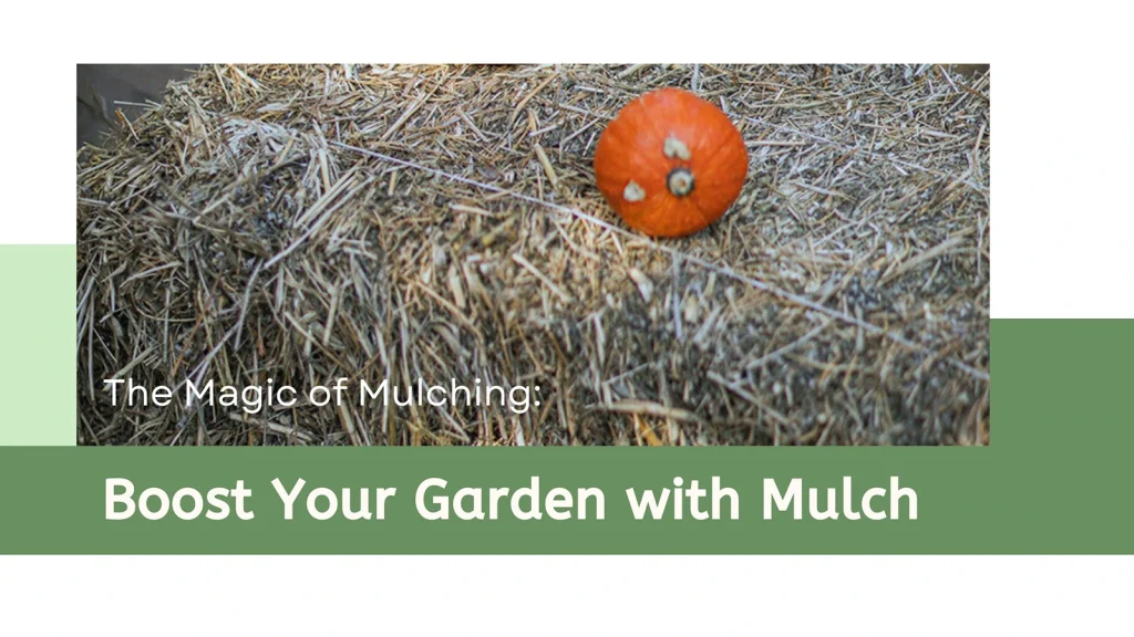 The picture shows a straw bale with a small pumpkin on it.