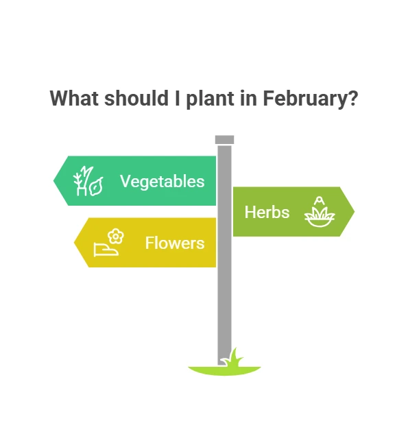 infographic with text What should I plant in February